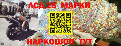 молекула духа Кингисепп