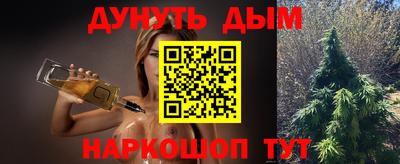молекула духа Кингисепп