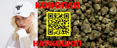 молекула духа Кингисепп
