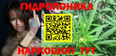 молекула духа Кингисепп