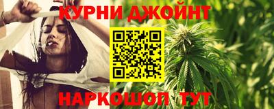 молекула духа Кингисепп