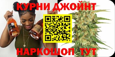 молекула духа Кингисепп