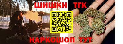 молекула духа Кингисепп