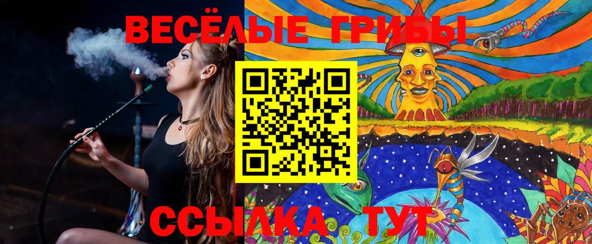 Галлюциногенные грибы прущие грибы Королёв