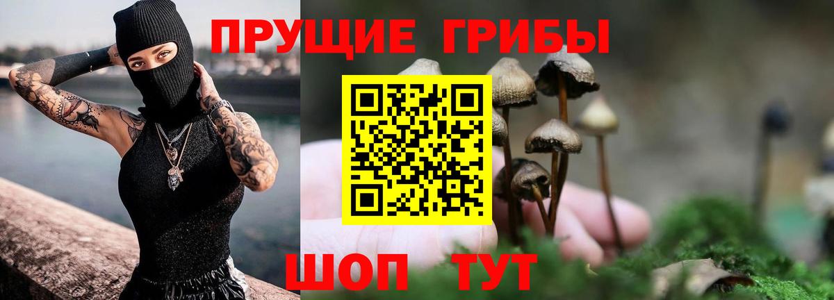 Галлюциногенные грибы мухоморы  Вход с VPN  Королёв 